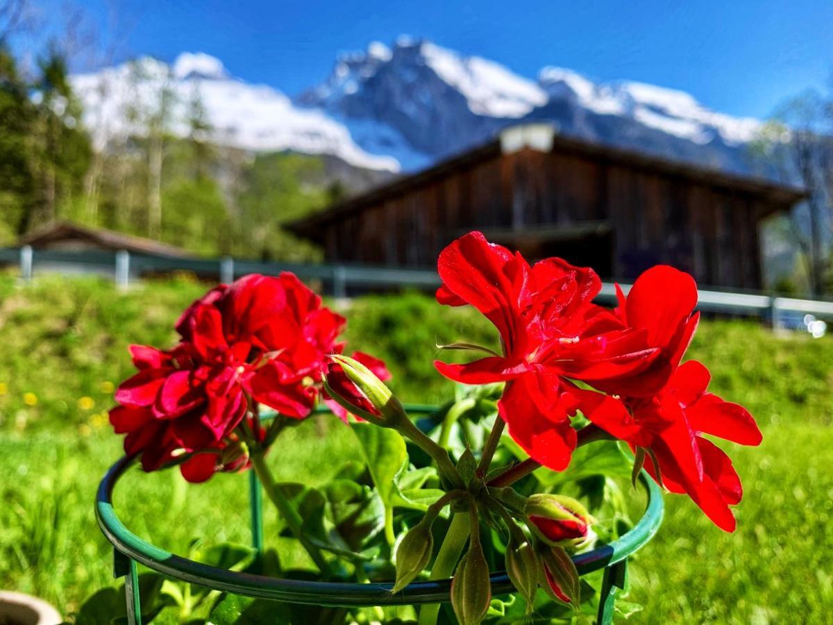 Bueelbad - Relax Holiday Apartment Kandersteg Kültér fotó