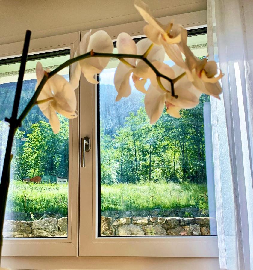 Bueelbad - Relax Holiday Apartment Kandersteg Kültér fotó